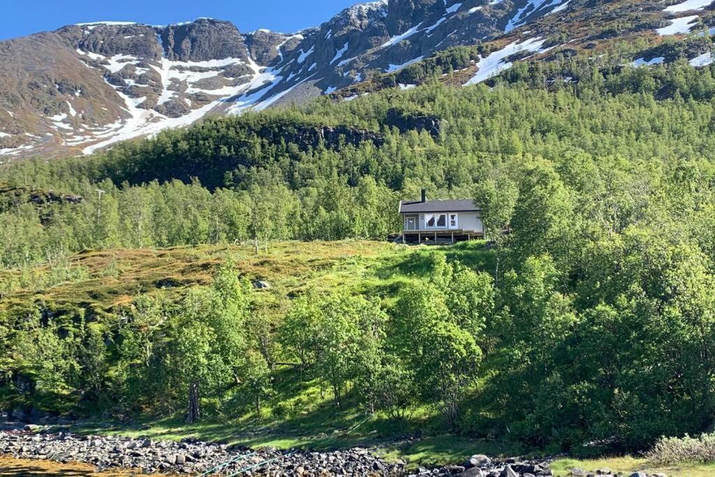 Cabin In Jokelfjord Villa Bagian luar foto